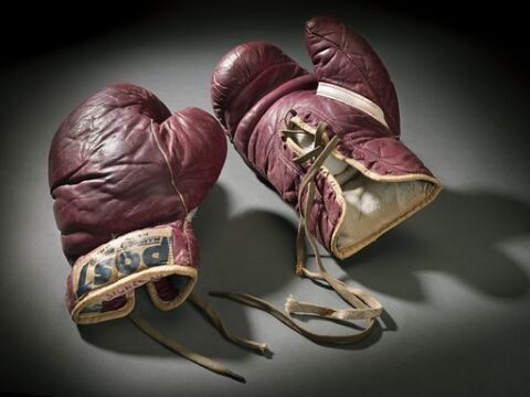Boxing gloves